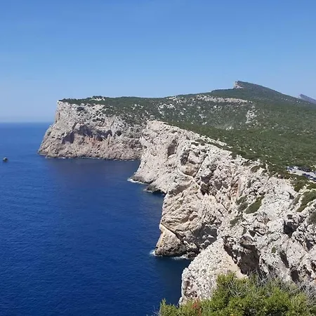 Le Pavoncelle