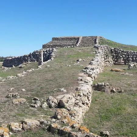 Le Pavoncelle